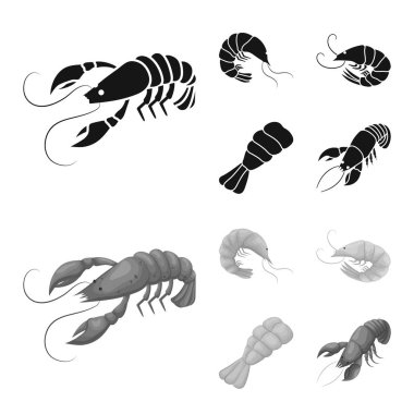 Meze ve okyanus simge vektör tasarımı. Meze koleksiyonu ve hisse senedi için incelik vektör simgesi.