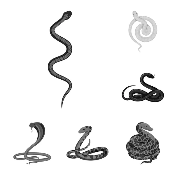 Ilustración vectorial del daño y el logotipo de la mordida. Colección de daños y reptiles símbolo de stock para la web . — Vector de stock