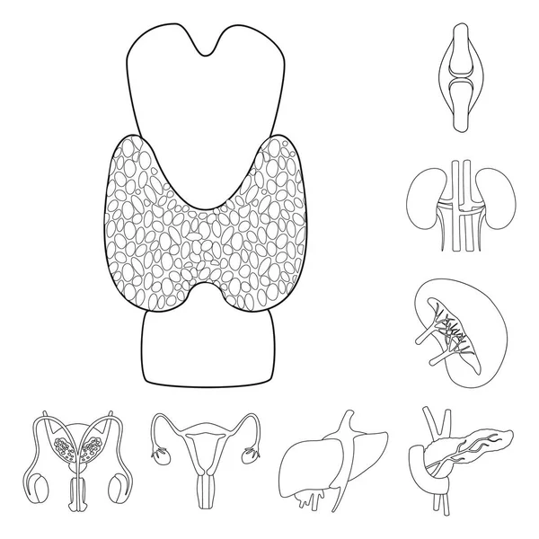 Desenho vetorial de anatomia e logotipo do órgão. Coleção de anatomia e símbolo de estoque médico para web . —  Vetores de Stock