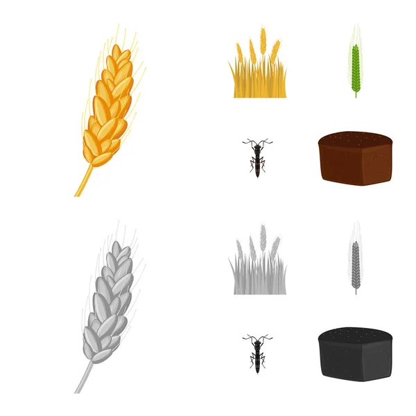 Illustration vectorielle du logo agricole et agricole. Ensemble d'illustration vectorielle de l'agriculture et du matériel végétal . — Image vectorielle