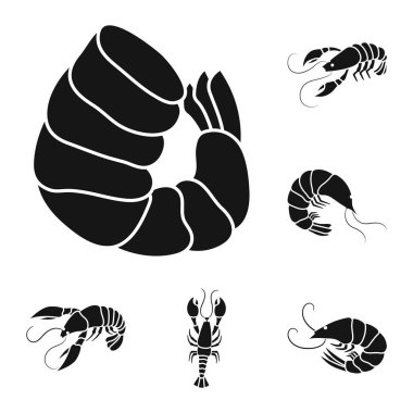 Et ve incelik logo vektör tasarımı. Et ve yengeç stok vektör çizim seti.