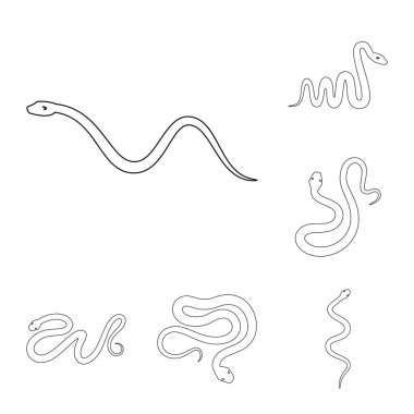 Zehir ve kötü logo vektör tasarımı. Zehir kümesi ve hisse senedi için ısırık vektör simgesi.