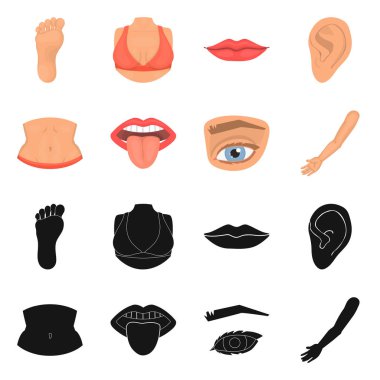 Vücut ve bölümü simge vektör Illustration. Hisse senedi için vücut ve anatomi vektör simge topluluğu.