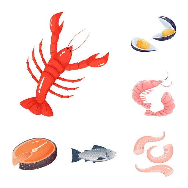 Projeto vetorial de comida e ícone do mar. Conjunto de alimentos e ícone vetor saudável para estoque . —  Vetores de Stock