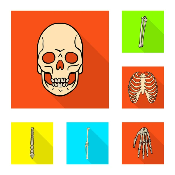 Векторний дизайн логотипу кістки та скелета. Збірка кістки і людини Векторна іконка для запасів . — стоковий вектор