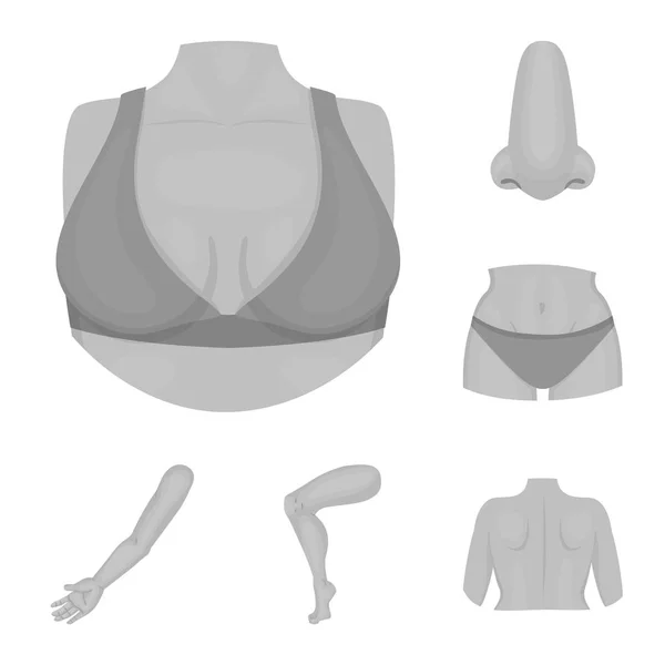 Изолированный объект тела и знак части. Набор векторной иллюстрации тела и анатомии . — стоковый вектор