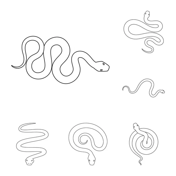 Illustration vectorielle du poison et du logo du mal. Ensemble d'illustration vectorielle de poison et de morsure . — Image vectorielle