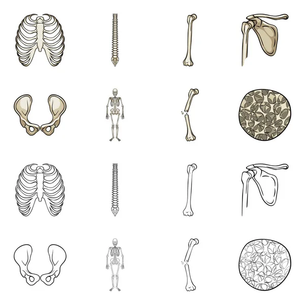 Tıp ve klinik sembolü yalıtılmış nesne. İlaç ve tıbbi hisse senedi simgesi web için set.