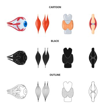 Biyoloji ve bilimsel simge vektör tasarımı. Biyoloji ve laboratuvar hisse senedi vektör çizim seti.