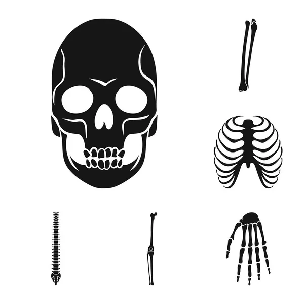 Isolerade objekt av biologi och medicinsk logotyp. Samling av biologi och skelett lager vektorillustration. — Stock vektor