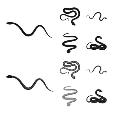 Memeli ve tehlike sembolü vektör tasarımı. Memeli ve tıp hisse senedi simgesi web için kümesi.