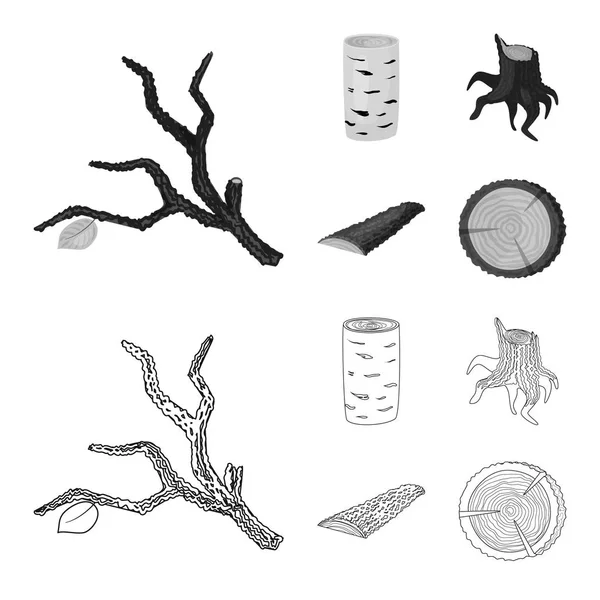 Projeto vetorial de árvore e ícone cru. Coleção de árvore e símbolo de estoque de construção para web . — Vetor de Stock