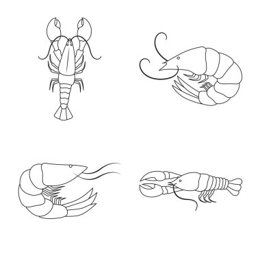 Gıda ve deniz işareti vektör tasarımı. Gıda ve hisse senedi için hayvan vektör simge kümesi.