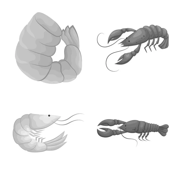 Векторні ілюстрації логотипу краба та закуски. Збірка символів краба та морського запасу для Інтернету . — стоковий вектор
