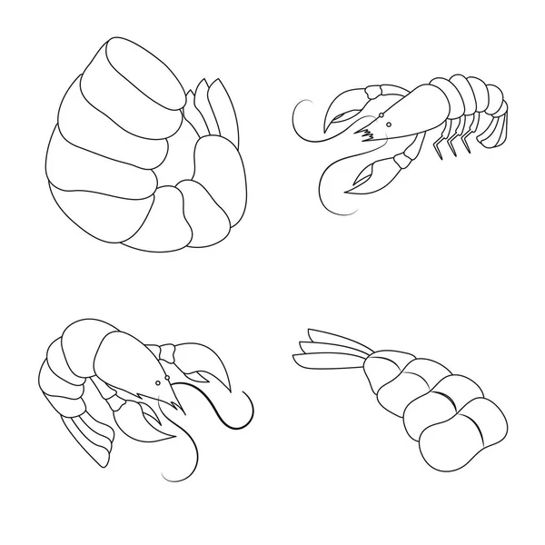 Ilustración vectorial de alimentos e ícono del mar. Colección de alimento y animal vector icono para stock . — Archivo Imágenes Vectoriales