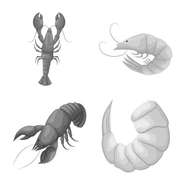 Vektorillustration av krabba och förrätt symbol. Uppsättning av krabba och havet lager vektorillustration. — Stock vektor