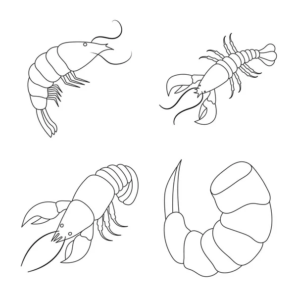 Illustration vectorielle des signes alimentaires et maritimes. Collecte de nourriture et de stock animal symbole pour la toile . — Image vectorielle