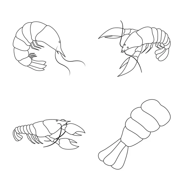 Ilustração vetorial do ícone da comida e do mar. Coleta de alimento e animal símbolo de estoque de web . — Vetor de Stock