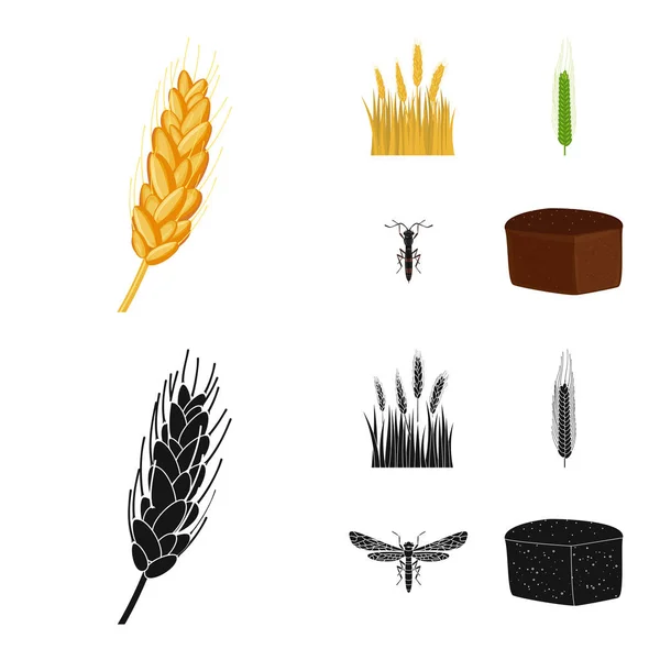 Illustrazione vettoriale del segno agricolo e agricolo. Raccolta di icone vettoriali agricole e vegetali per lo stock . — Vettoriale Stock