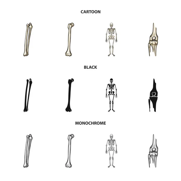 Ilustração vetorial da medicina e logotipo da clínica. Coleção de medicina e ilustração vetorial de estoque médico . — Vetor de Stock