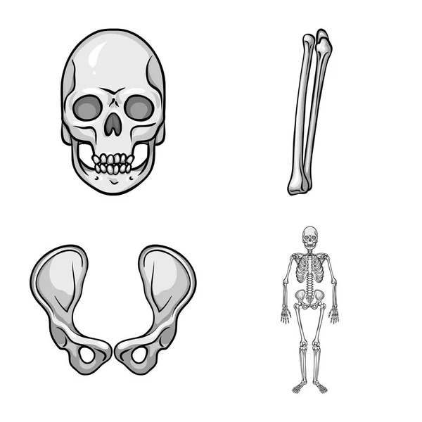 Vektorová design biologie a lékařské ikonu. Biologie a kostry vektorové ilustrace. — Stockový vektor