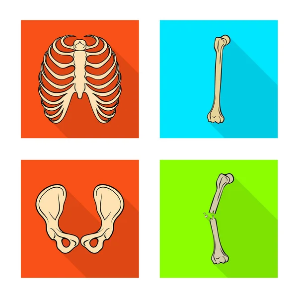 Vektordesign von Knochen und Skelett-Symbol. Sammlung von Abbildungen von Knochen und menschlichen Stammvektoren. — Stockvektor
