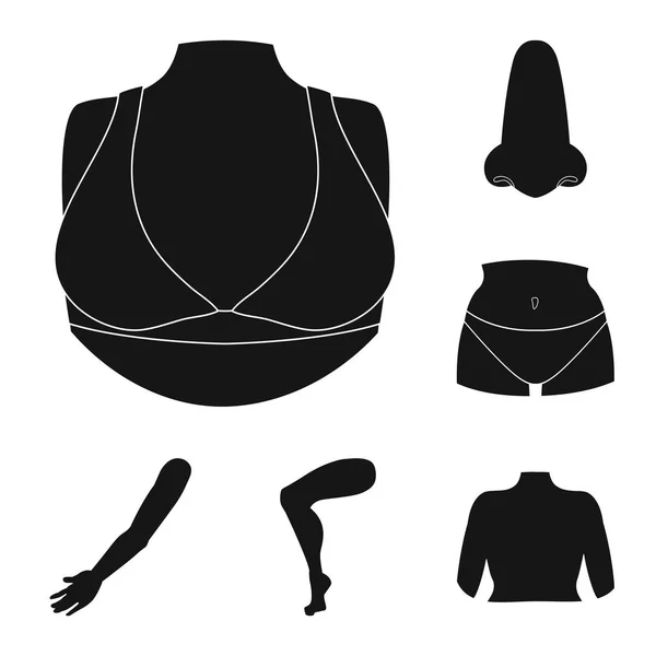 Изолированный объект тела и часть символа. Набор векторных значков корпуса и анатомии для инвентаря . — стоковый вектор