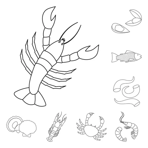 Изолированный объект пищевой и морской логотип. Набор векторной иллюстрации продуктов питания и здорового питания . — стоковый вектор