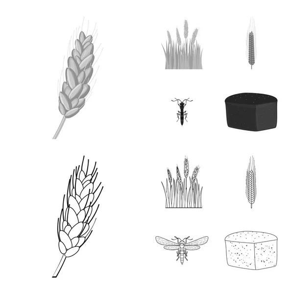 Design vettoriale dell'agricoltura e simbolo dell'agricoltura. Raccolta di icone vettoriali agricole e vegetali per lo stock . — Vettoriale Stock