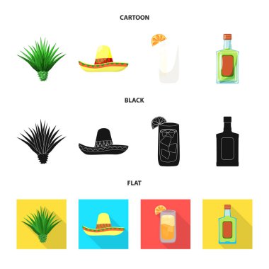 Kafe ve Latin simge vektör tasarımı. Kafe ve ulusal hisse senedi vektör çizim koleksiyonu.