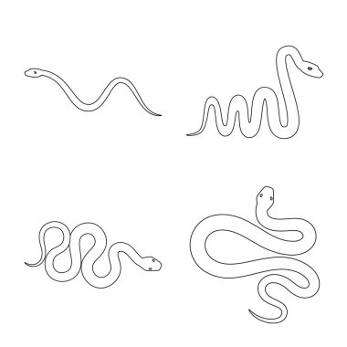 Zehir ve kötü logo vektör Illustration. Zehir ve ısırık koleksiyonu vektör hisse senedi simgesi.