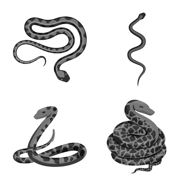 Objet isolé de mal et signe de morsure. Ensemble de dommage et symbole de stock de reptiles pour la toile . — Image vectorielle