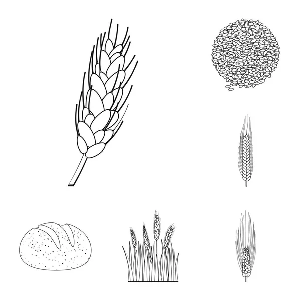 Isolierte Objekt der Landwirtschaft und Landwirtschaft Symbol. Set von Landwirtschaft und Pflanzenvektorsymbolen für Aktien. — Stockvektor