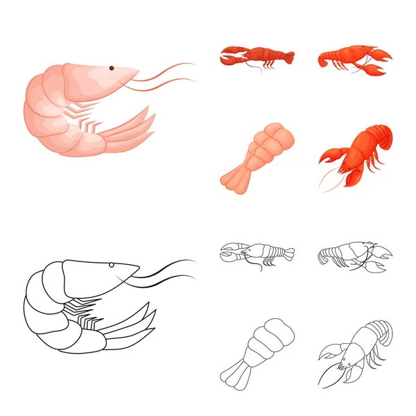 Diseño vectorial de aperitivo e icono del océano. Conjunto de aperitivo y delicadeza stock vector ilustración . — Archivo Imágenes Vectoriales