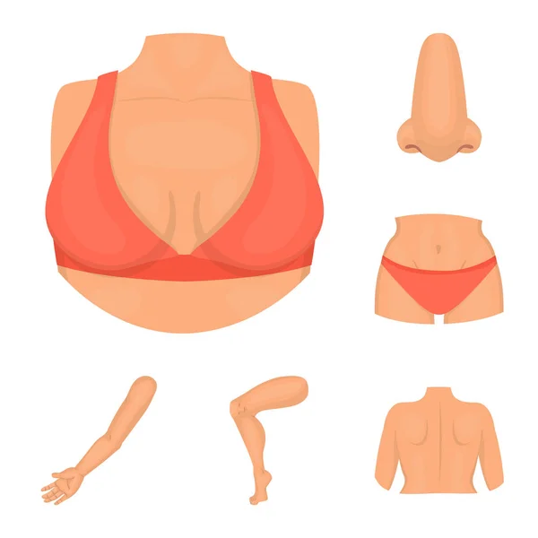Vector ontwerp van lichaam en deel van de teken. Set van lichaam en anatomie aandelensymbool voor web. — Stockvector