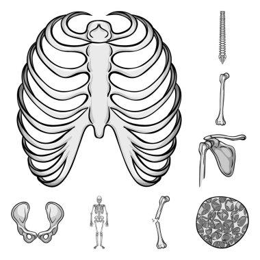 Biyoloji ve tıp simge vektör Illustration. Biyoloji ve iskelet hisse senedi vektör çizim koleksiyonu.