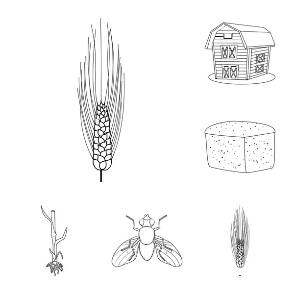 Векторная иллюстрация сельского хозяйства и крестьянского знака. Набор векторных иконок для сельского хозяйства и растений . — стоковый вектор