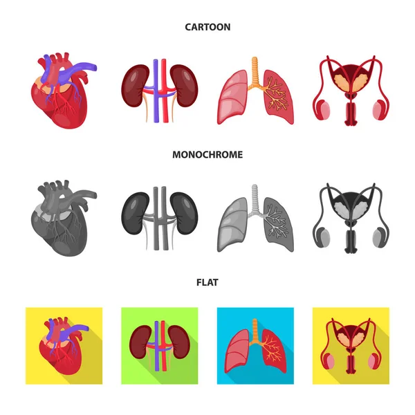 Objet isolé de biologie et icône scientifique. Ensemble d'illustration vectorielle de stock biologique et de laboratoire . — Image vectorielle