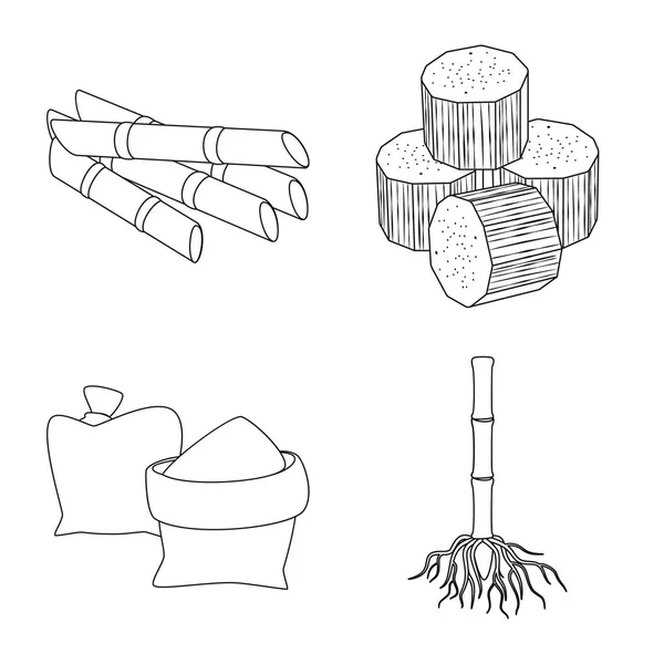 Ilustracja wektorowa logo cukru i pola. Kolekcja cukru i plantacji symbol giełdowy dla sieci web. — Wektor stockowy