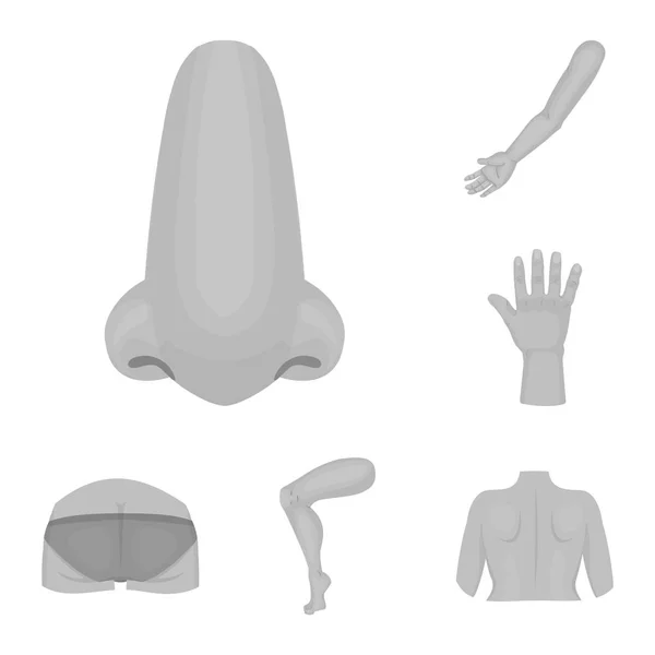 Vector illustratie van lichaam en deel van de teken. Set van lichaam en anatomie vector pictogram voor voorraad. — Stockvector