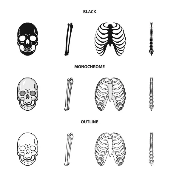 Vektorová design medicíny a klinika Sign. Sada medicíny a lékařské vektorové ilustrace. — Stockový vektor