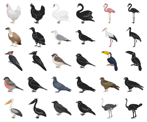 Tipos de dibujos animados de aves, iconos negros en la colección de conjuntos para el diseño. Inicio y aves silvestres vector símbolo stock web ilustración . — Vector de stock