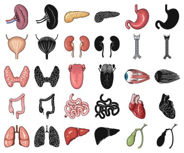 İnsan organlarını çizgi film, siyah set koleksiyonu tasarım için simgeler. Sembol stok web illüstrasyon vektör anatomi ve iç organlar.
