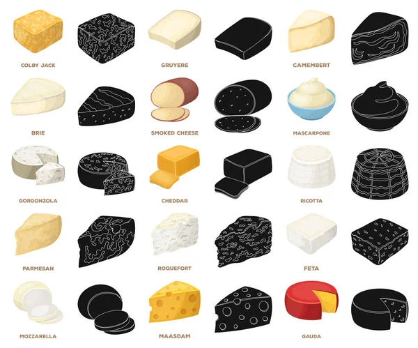 Différents types de dessin animé au fromage, icônes noires dans la collection de set pour le design.Milk produit fromage vecteur symbole illustration web stock . — Image vectorielle