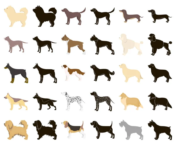 Perro Razas Dibujos Animados Iconos Negros Colección Conjunto Para Design — Vector de stock