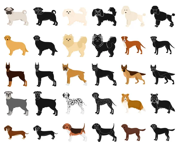 Perro razas de dibujos animados, iconos negros en la colección de conjuntos para design.Dog mascota vector símbolo stock web ilustración . — Vector de stock