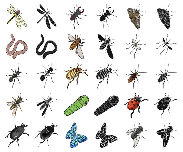 Verschiedene Arten von Insekten Cartoon, schwarze Symbole in Set Sammlung für Design. Insekt Arthropoden Vektor isometrisches Symbol Stock Web Illustration. — Stockvektor