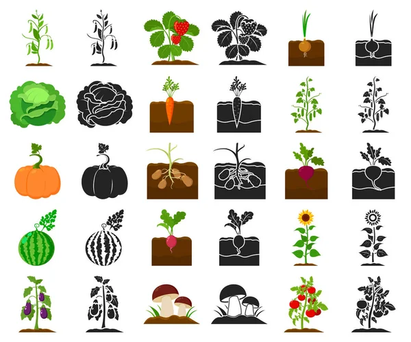 Plant, vegetable cartoon,black icons in set collection for design. Garden and harvest vector symbol stock web illustration. — Stock Vector