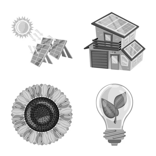 Vektör tasarım organik ve doğa işaret. Ayarla, organik ve panel web için hisse senedi simgesi.