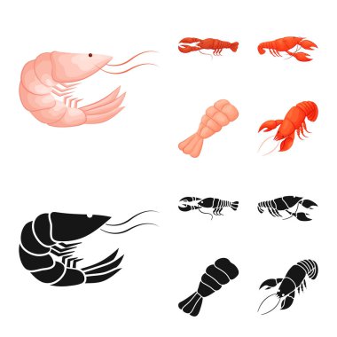 Meze ve okyanus simge vektör tasarımı. Meze koleksiyonu ve hisse senedi için incelik vektör simgesi.